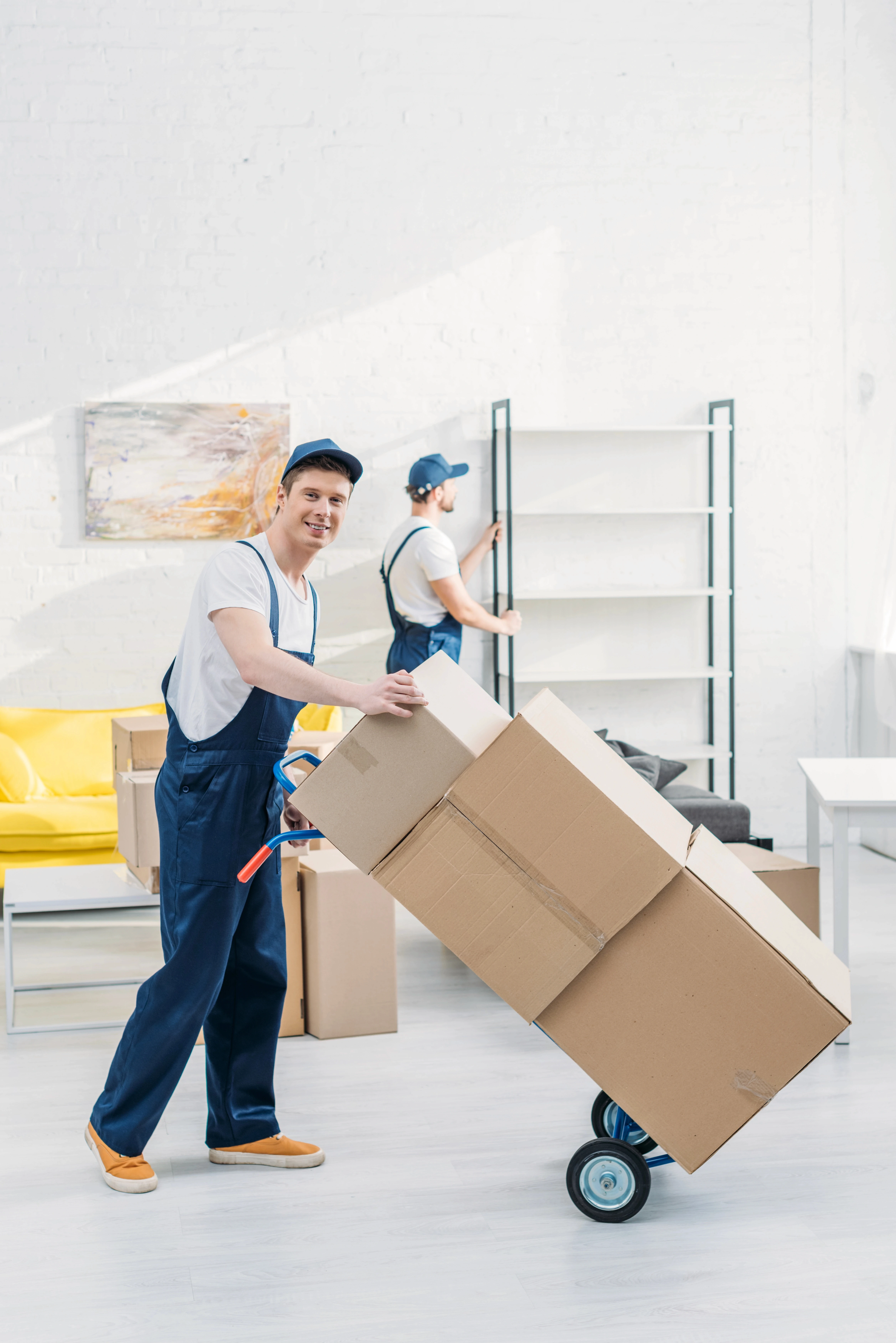 Professional movers carrying cardboard boxes